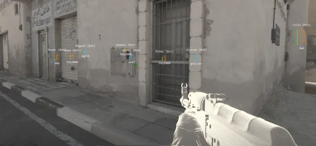 CS2 ESP boxes, health bars, and player labels during gameplay