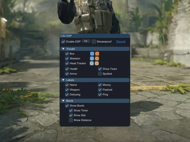 CS2 external ESP skeleton and player information overlay